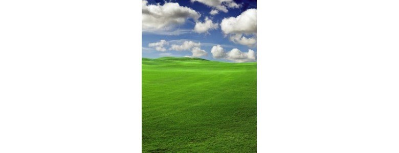 RENEWABLE ENERGY